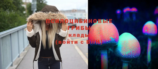 винт Аркадак