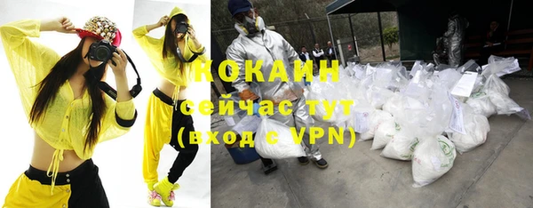 винт Аркадак