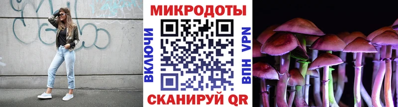 Купить закладки  Суздаль  Галлюциногенные грибы MAGIC MUSHROOMS 